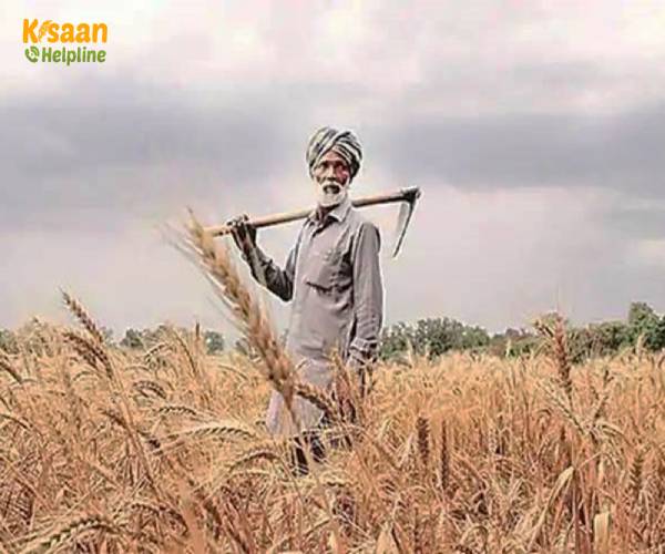 मध्य प्रदेश सरकार (MP Government) अब किसानों को किसान सम्मान कार्ड देगी मध्य प्रदेश सरकार (MP Government) अब किसानों को किसान सम्मान कार्ड देगी